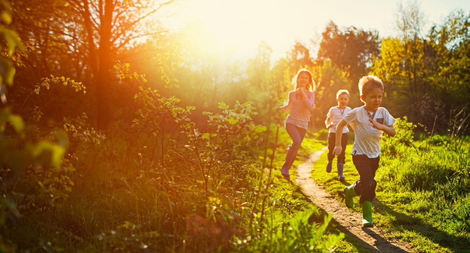 La Fondation Monique-Fitz-Back félicite l’ensemble des mairesses et des maires élus