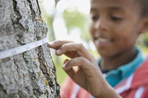 Le personnel et les directions d’écoles du Québec souhaitent développer le potentiel pédagogique de leur cour d’école