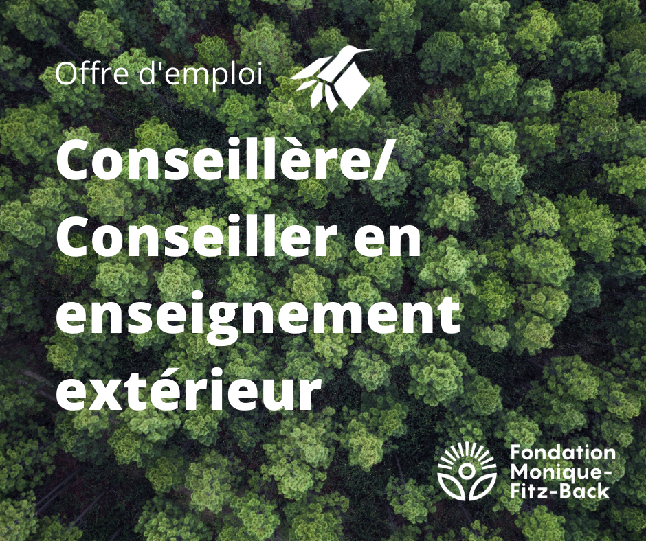 Conseillère / conseiller en enseignement extérieur