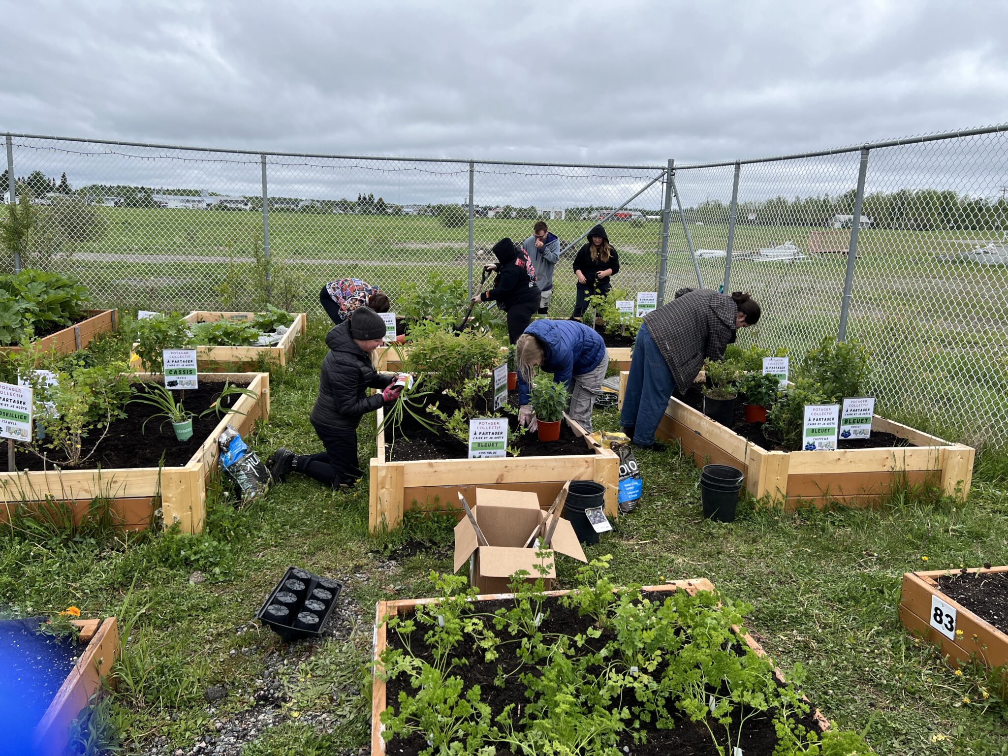 122 projets environnementaux et éducatifs pousseront dans les écoles du Québec